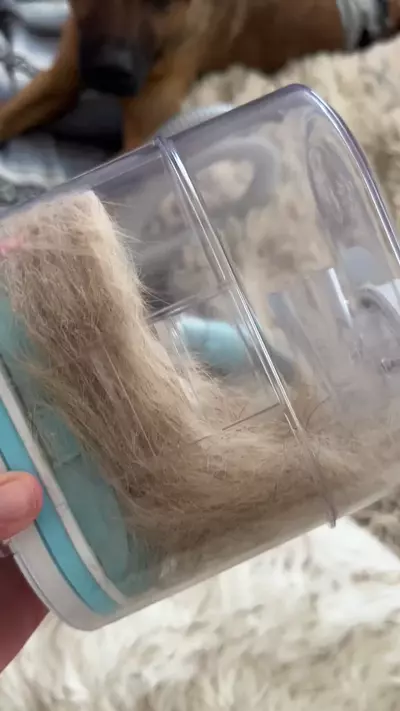 Scooby's Hair