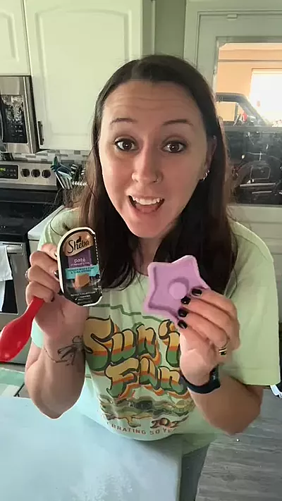 FreezTwinkle Cat Enrichment Toy – FreezPaw