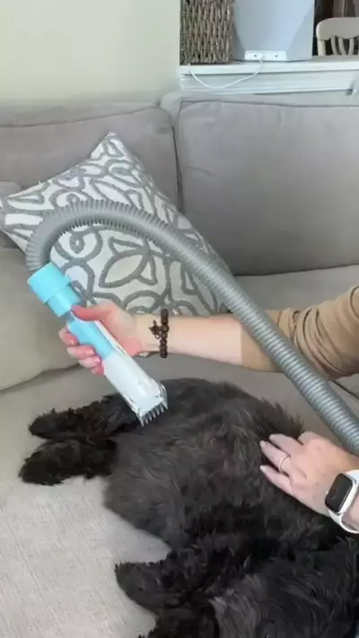 1.) Trim