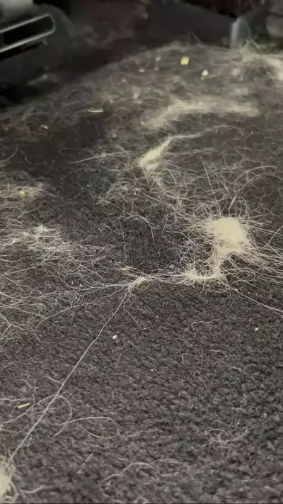 4.) Clean