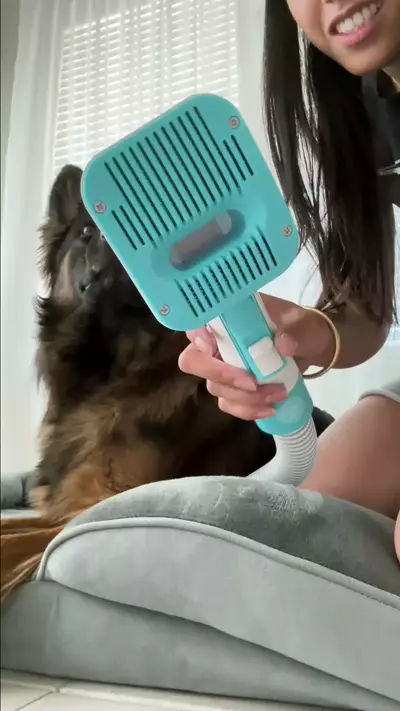 2.) Brush
