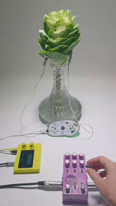 1735129583862_e101d67a-1e98-