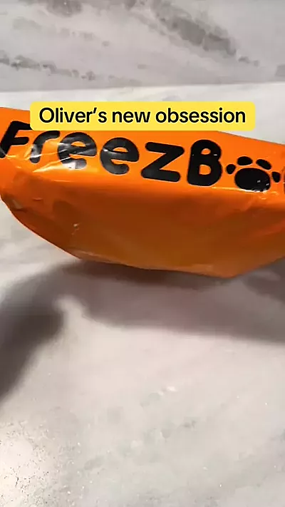 Freezbox - Super Tough Treat Toy – Freezbone