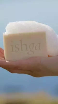 Shampoo & Body Bar 2024